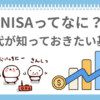 NISAってなんだろうって運動しながらかんがえているぱんだ